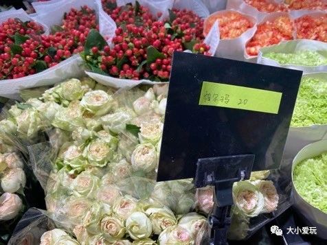 过年必逛花卉市场,北京值得去的花卉市场