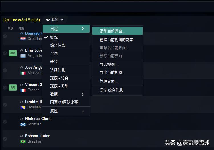 fm足球经理2024j联赛,fm2020足球总监推荐
