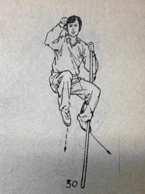 武术猴拳,武术猴拳视频