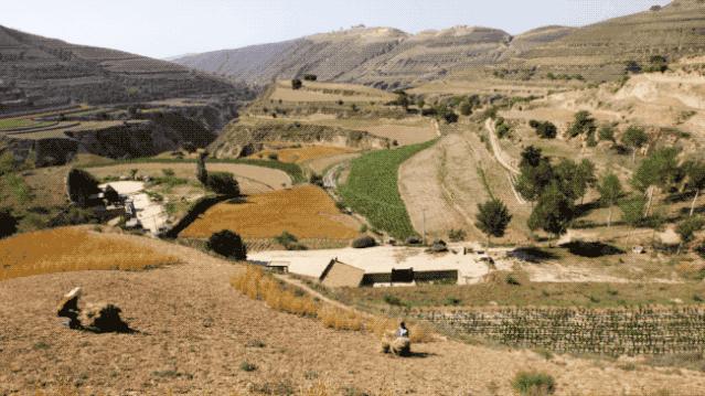 他到西北跟拍5个中国爷们3年：这片土地决定了人们为什么要唱歌