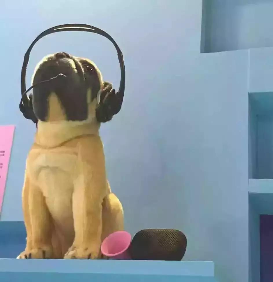 瀹滃澶辫触妗堜緥,瀹滃缁忓巻杩囩殑鍗辨満