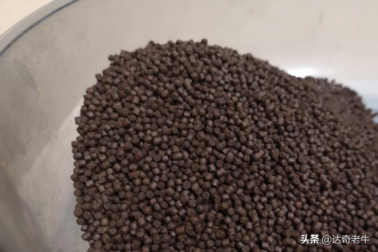 江边卖饵料钓鱼骗局揭秘,渔具店卖的原塘颗粒怎么来的