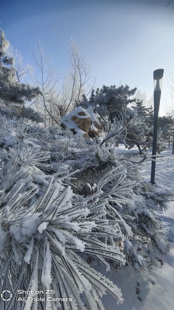 这才是东北该有的味道,这才是东北农村该有的样子