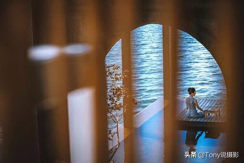 不同摄影题材的镜头选择,摄影打鸟相机镜头推荐