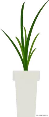 一年级语文ieueer拼音教学,部编本一年级上册拼音考察方法