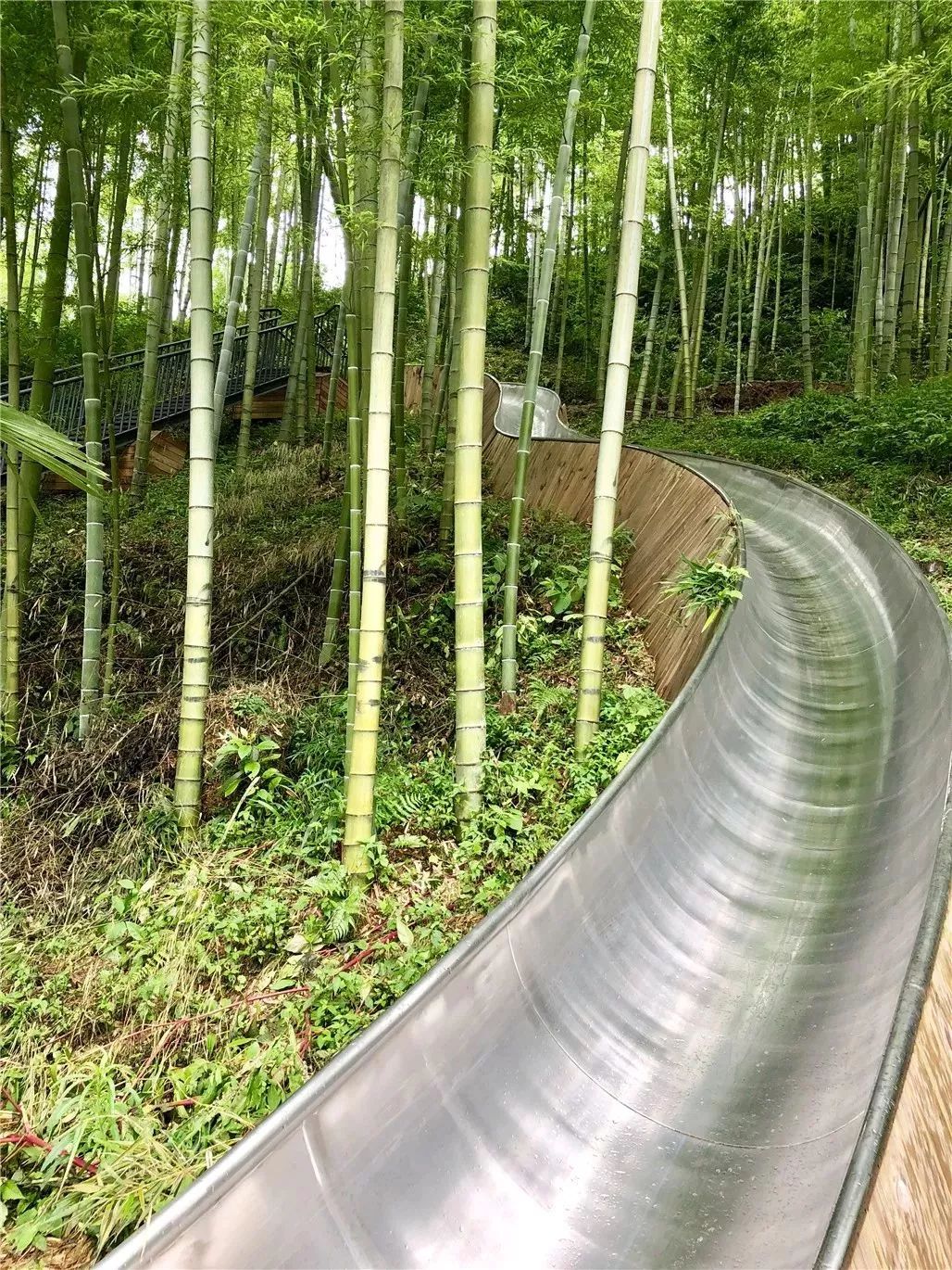 莫干山网红儿童旋转滑梯民宿,莫干山新晋森林亲子民宿无边泳池