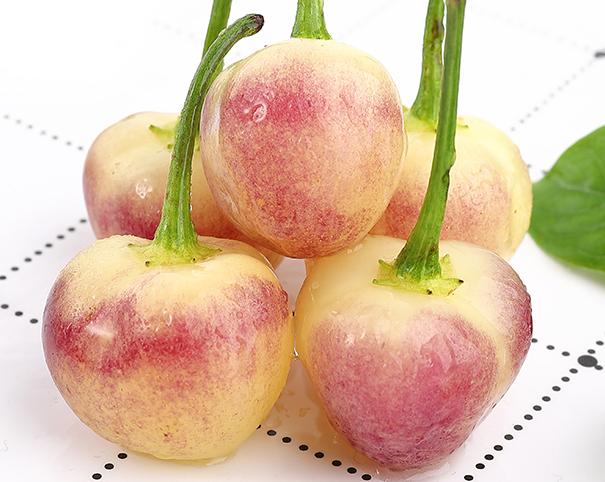 七彩盆栽迷你小辣椒,小辣椒迷你