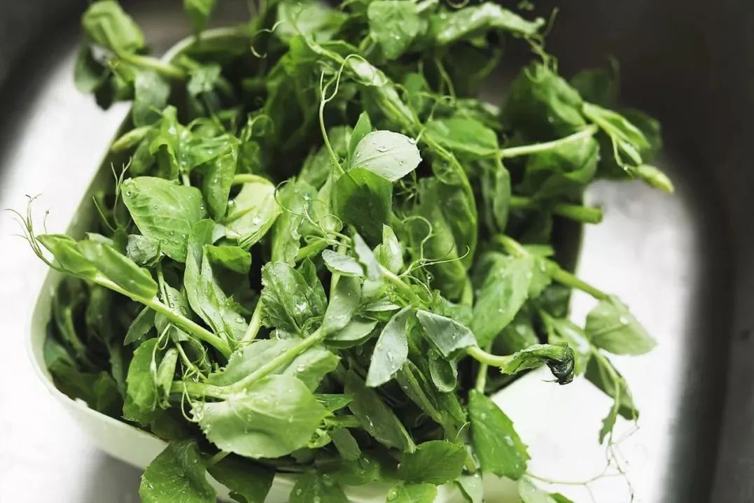 芥菜凭一己之力撑起了川人四季的蔬菜配额