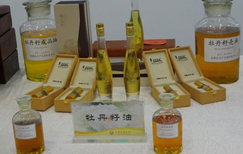 牡丹，熟悉而陌生——“花王”的前世今生，带你重新认识牡丹