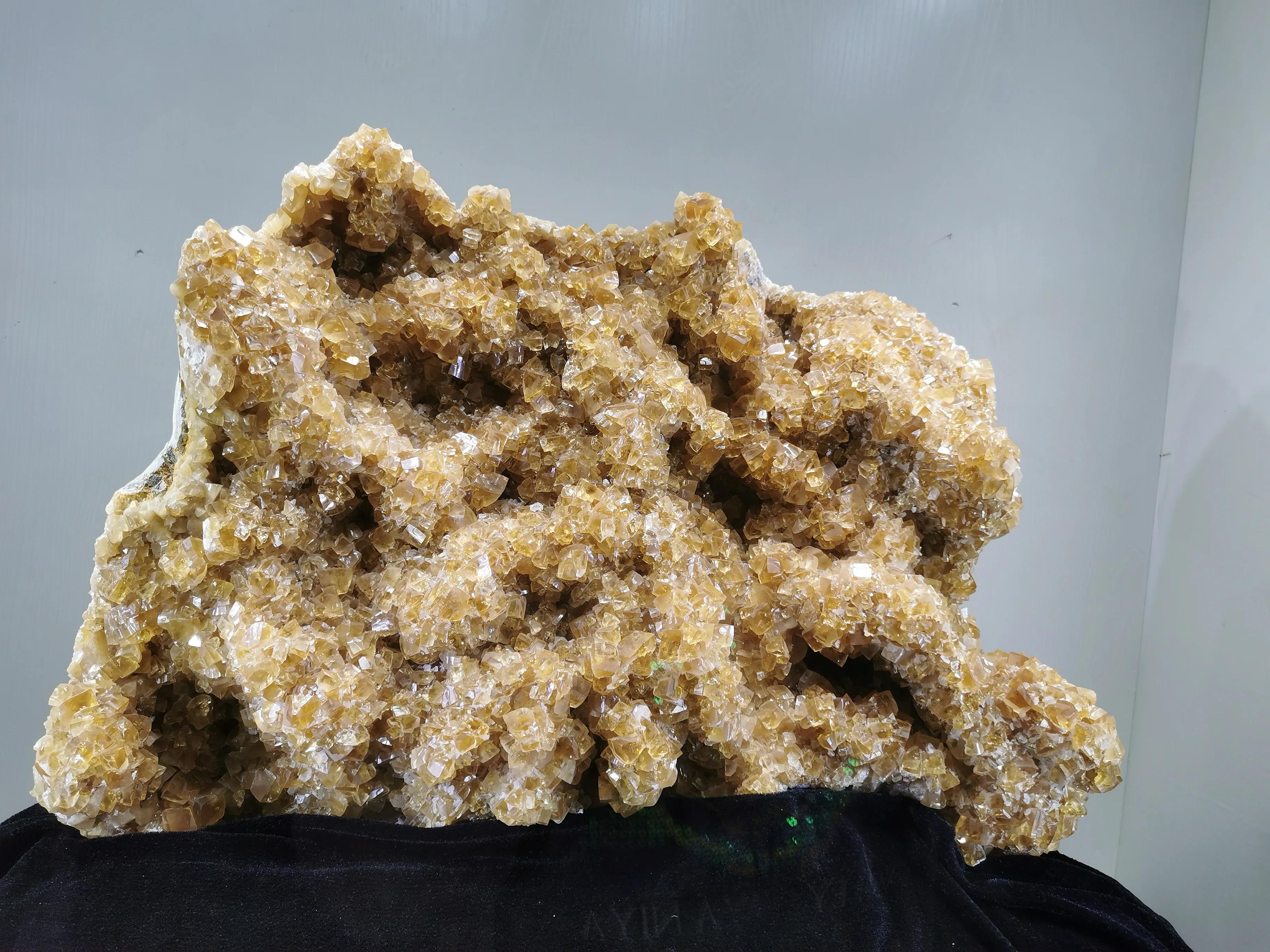 南京古生物博物馆开放时间及门票,南京古生物博物馆作文