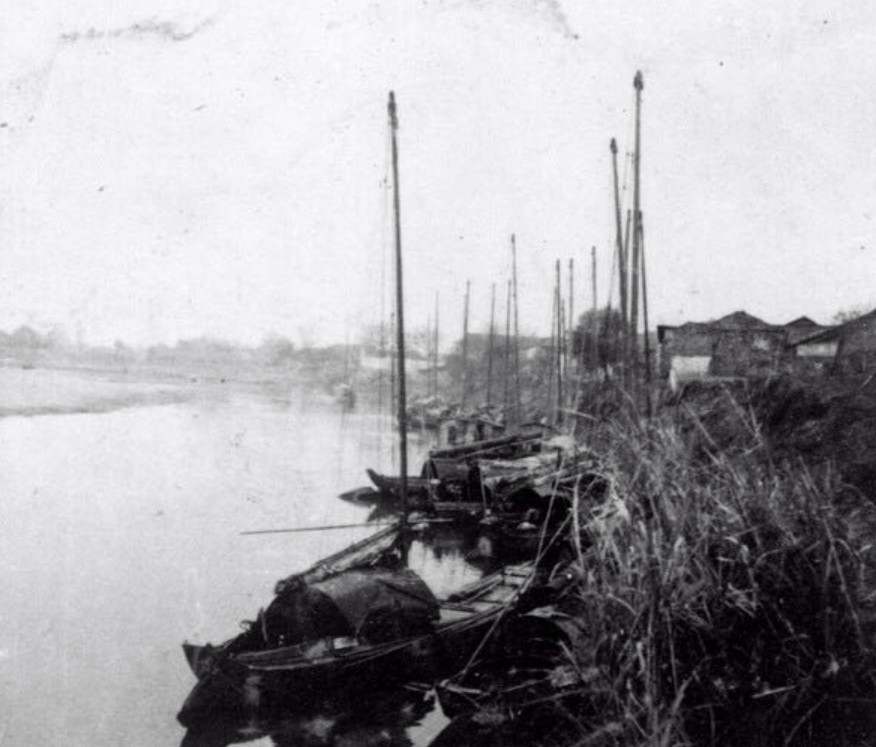 腊梅在哪有,在腊梅盛开的地方