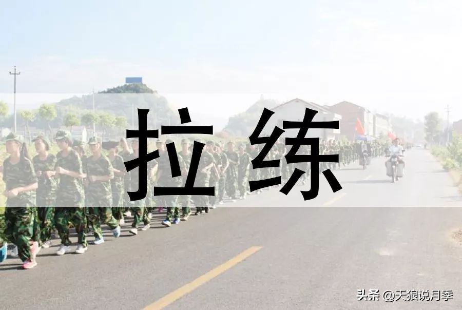 天狼团队最新视频,天狼团队所有视频