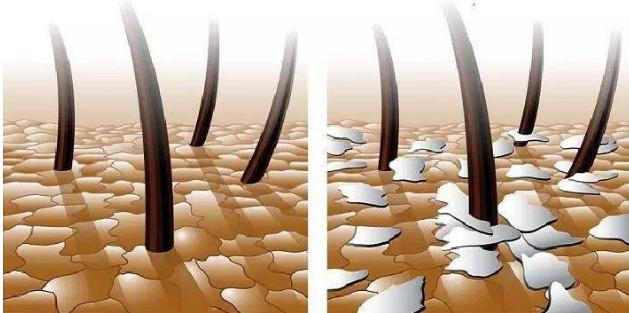 中国口碑最好的洗发水无硅油,洗发水推荐平价学生30元左右