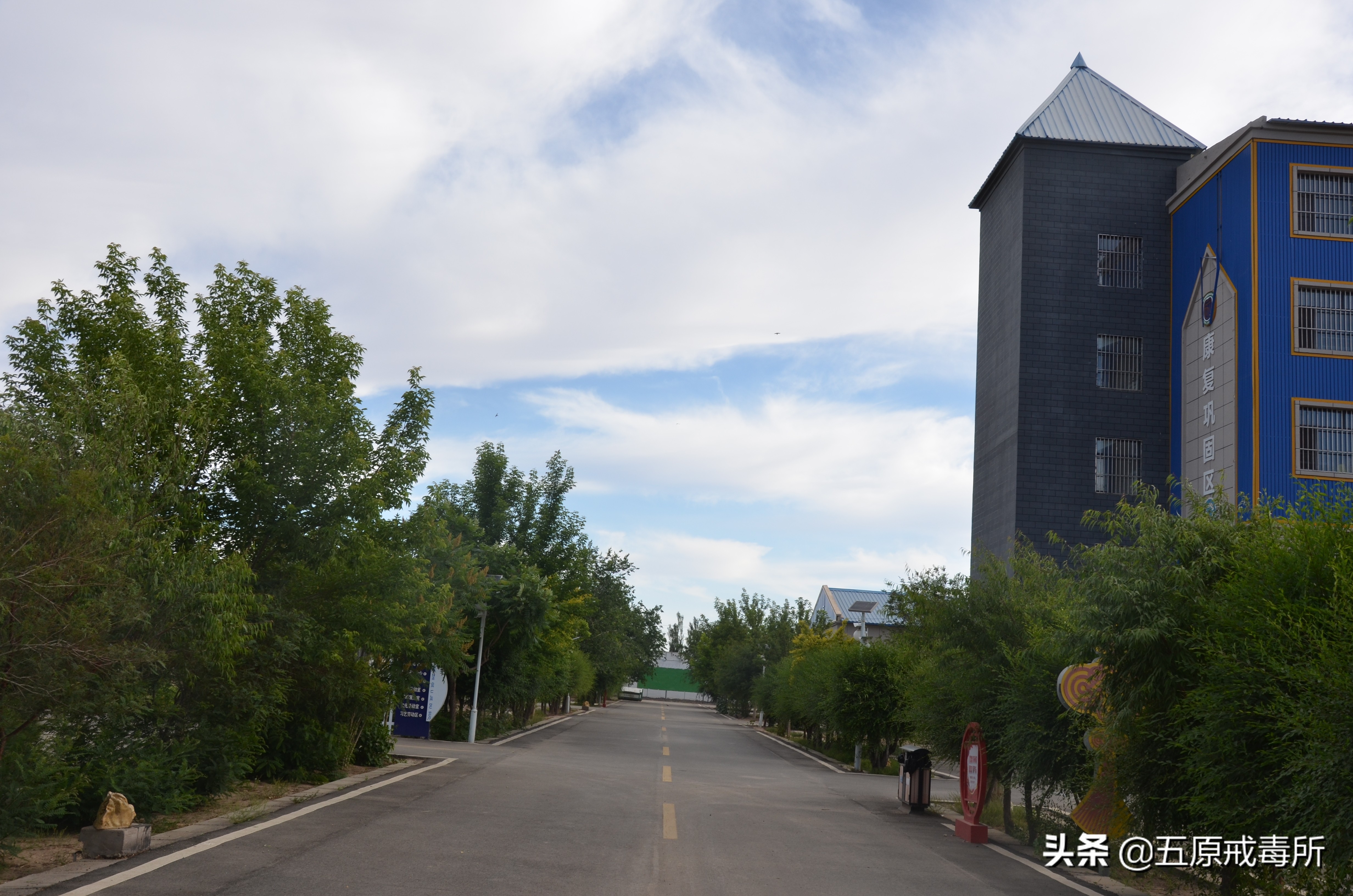 全国统一戒毒工作模式,强制戒毒管理体系改革