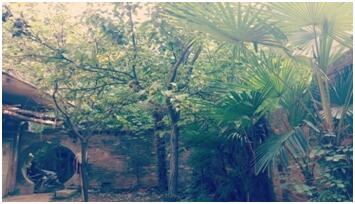 「散文随笔」岳父大人你慢些走……