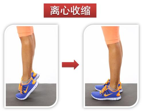 跟腱松解康复师,跟腱断裂康复训练教授