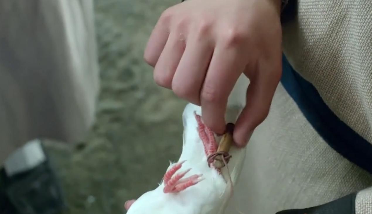 鸿雁传书源自哪个历史故事,鸿雁传书啥意思