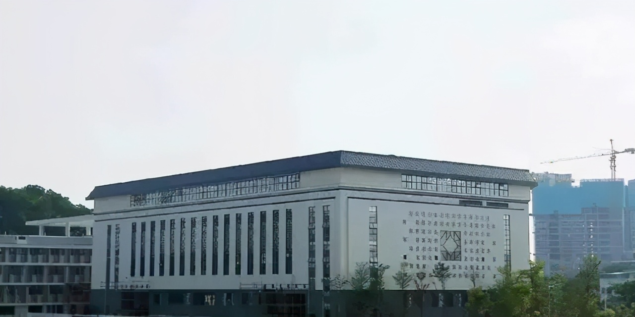 深圳四大八大十大中学各有几所,深圳的四大八大名校是哪些