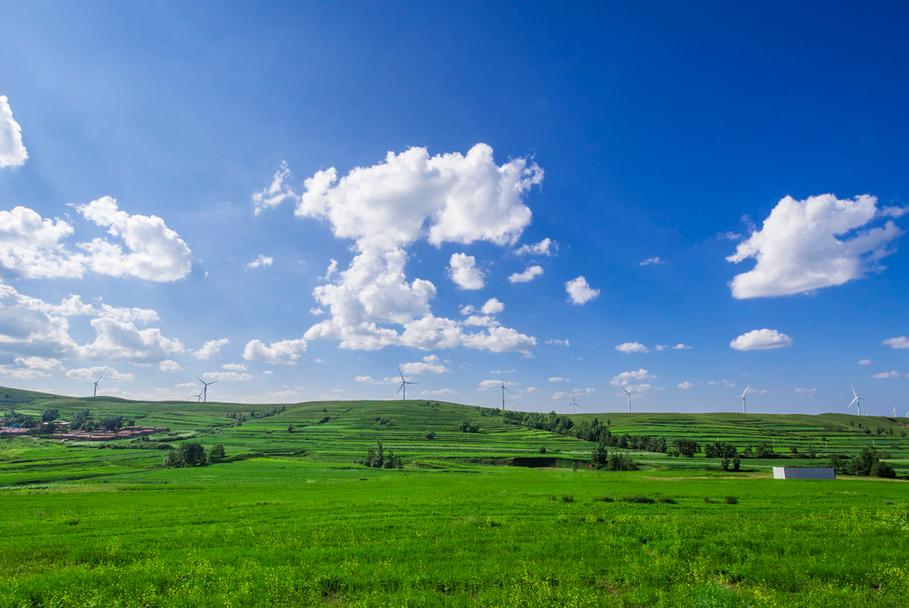 草原何须去内蒙，走进坝上草原，令我的心灵顿生幸福的震颤