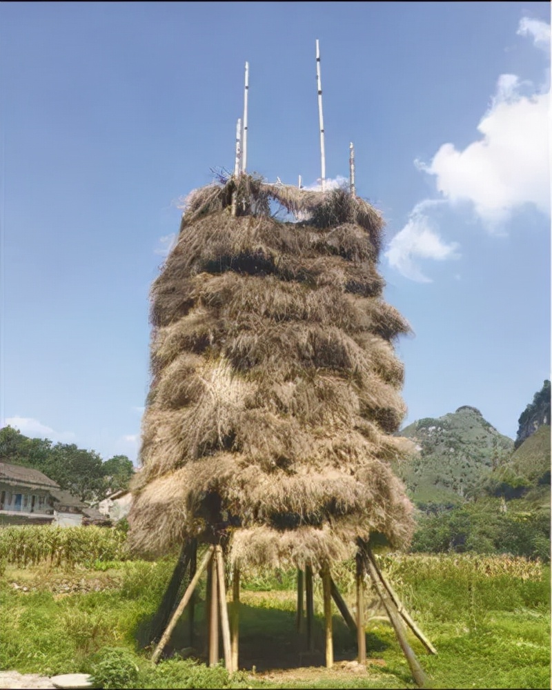孙振华的全部视频,孙振华青岛