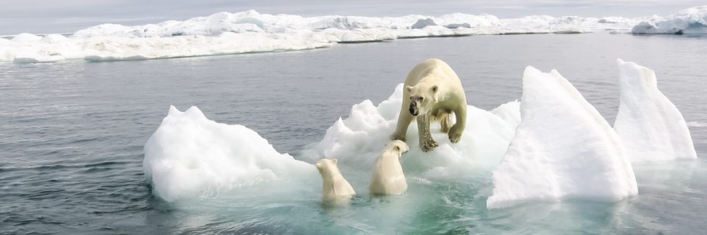 如果地球冰川都融化会发生什么,假如全部冰川瞬间融化地球会怎样