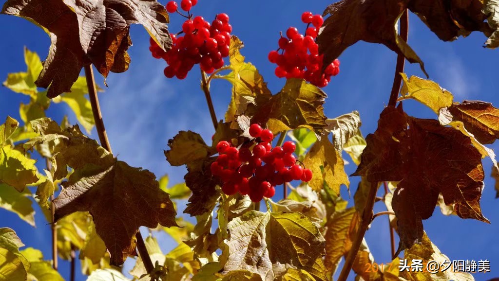 走进新疆天山天池真的美,天山天池之美