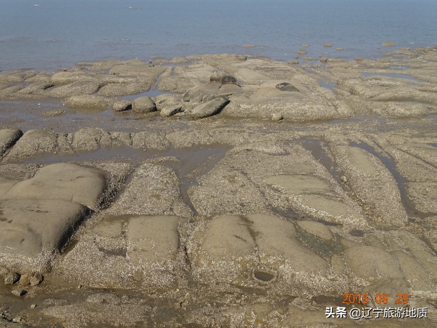 营口黄金海岸沙滩,营口北海海滩攻略