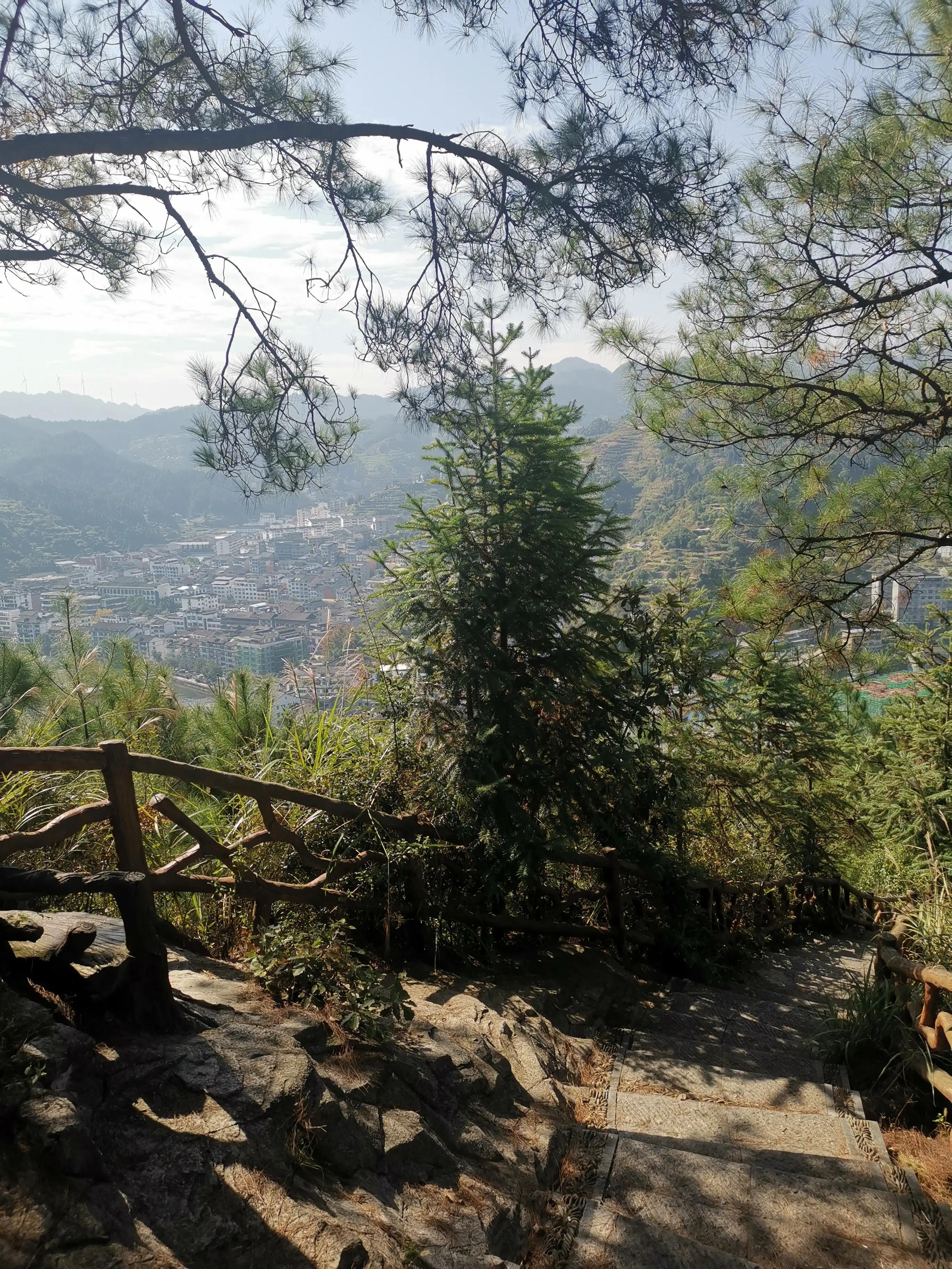 供需和价格的关系,供需关系决定价格还是价值