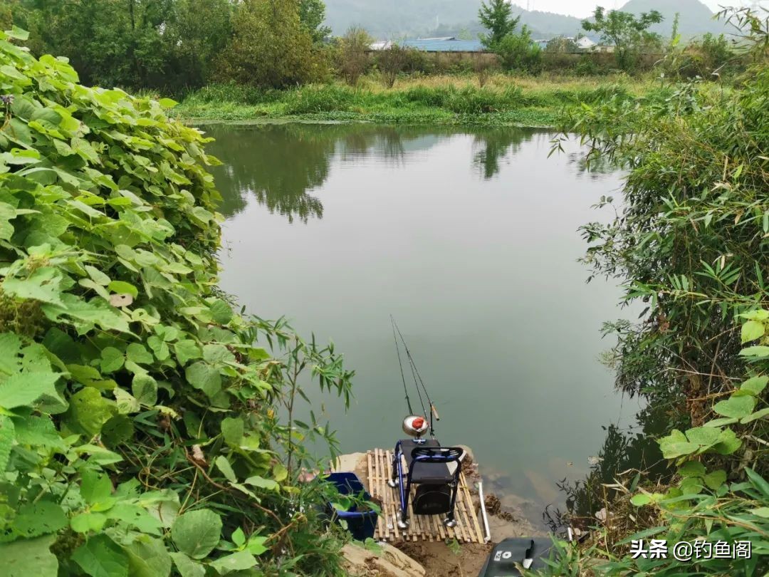 连球钓椅c19和x12什么区别,钓椅怎么选牌子
