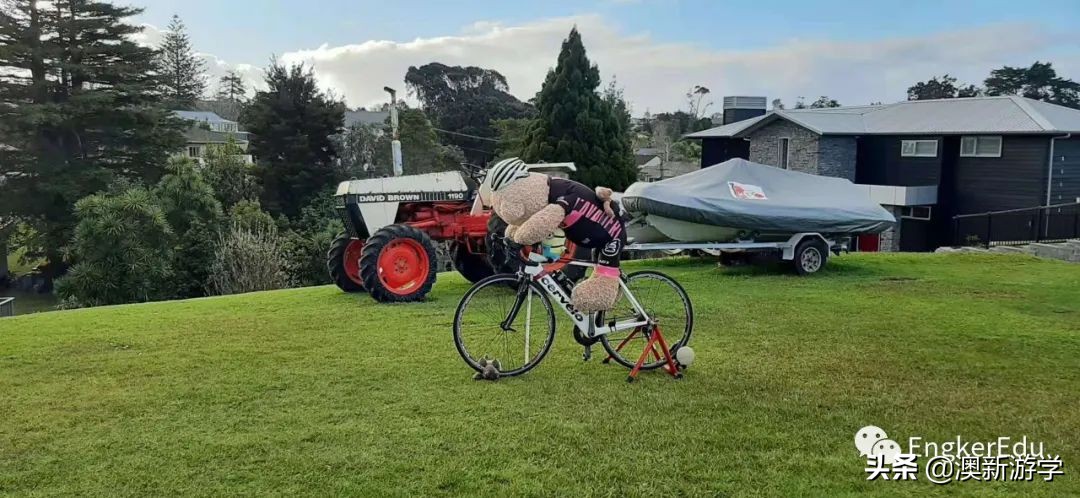 封城期间，玩偶一家的生活大揭秘