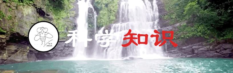 中年男性脱发原因及治疗方法,中年男性遗传性脱发能治好吗