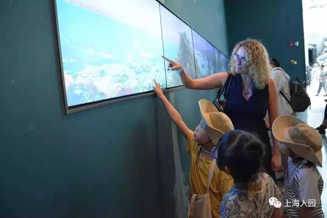 探园|上海寸土寸金地段的双语幼儿园！有托班，要提前1年排队！