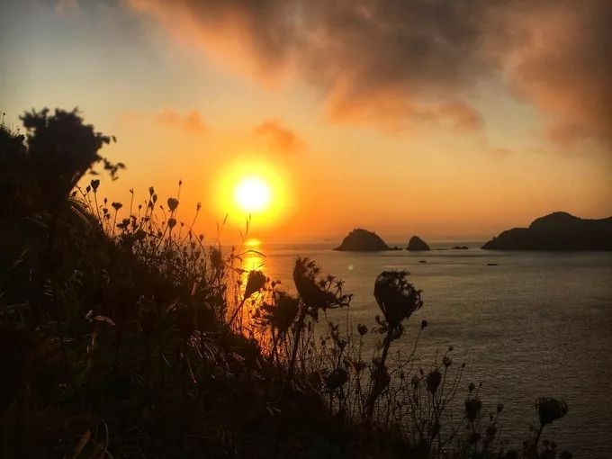 初心枸杞岛旅游攻略,枸杞岛旅游攻略大全