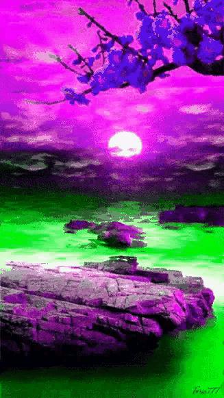 这是我见过最美丽的风景用英语,这是我见过最美的风景啥意思