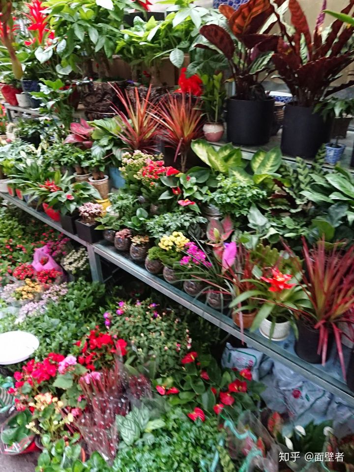 真实的苏州城市,真实的苏州相亲市场