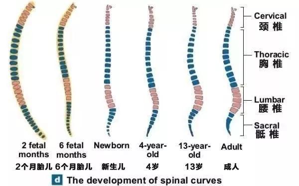 反重力众筹,众筹100万元