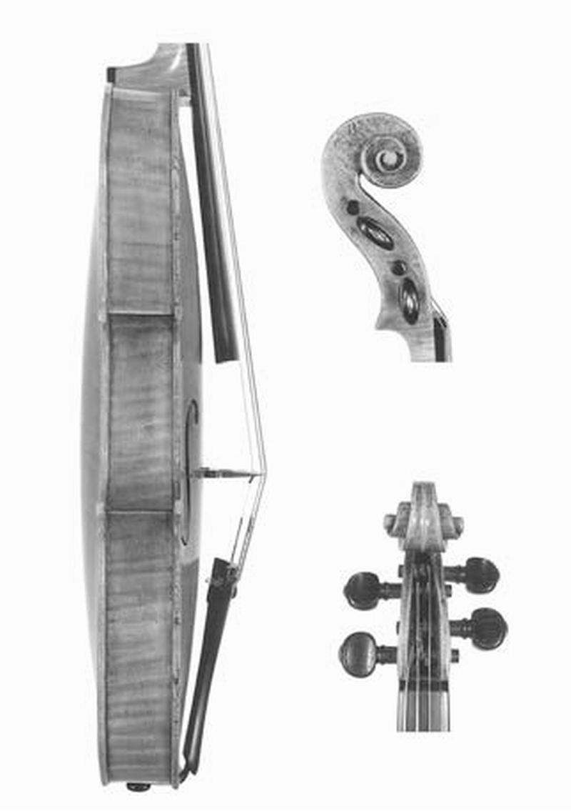 从斯特拉迪瓦里先生的木头说起