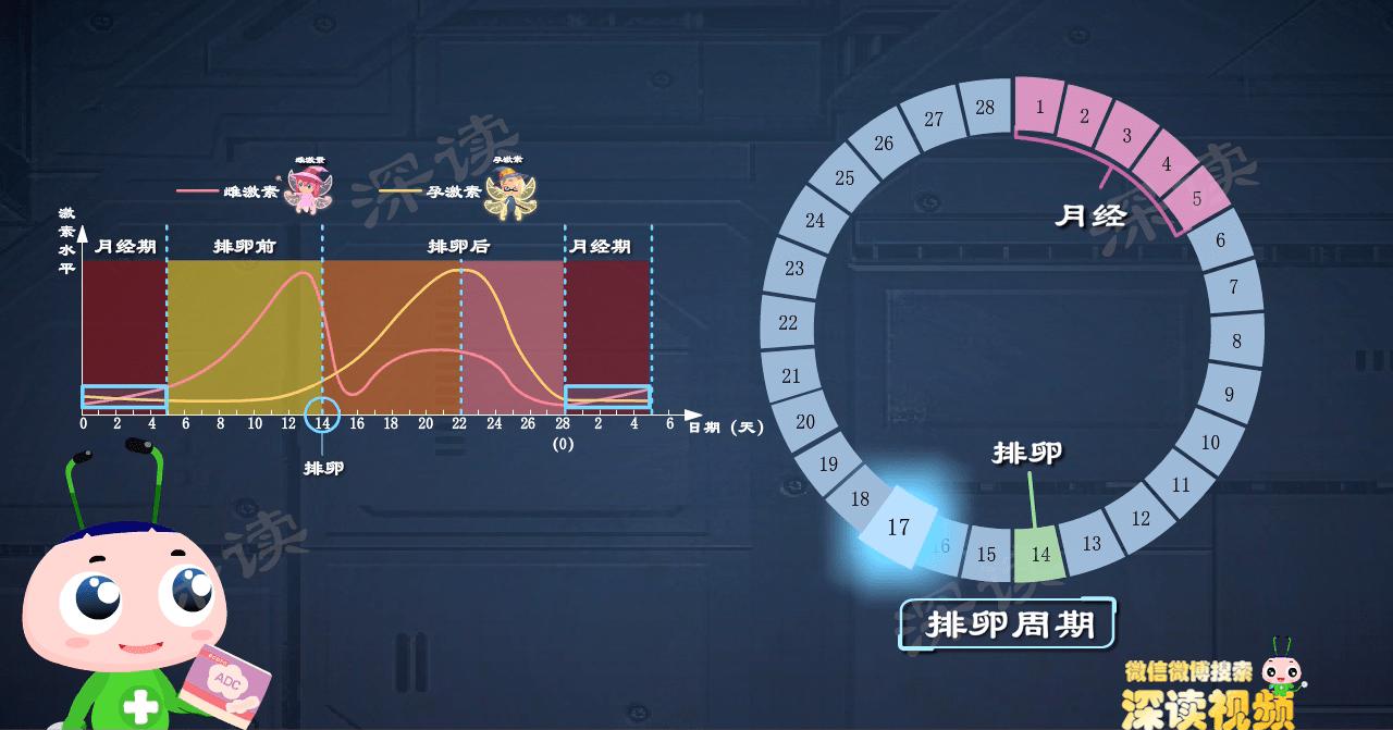 12小时内吃紧急避孕药成功率高吗,紧急避孕药成功率和排卵日有关么