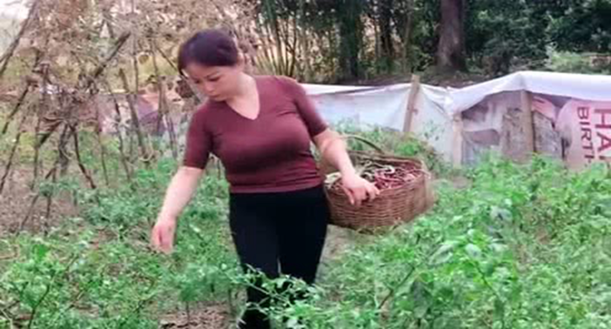 他老婆跑了,他老婆又跑了