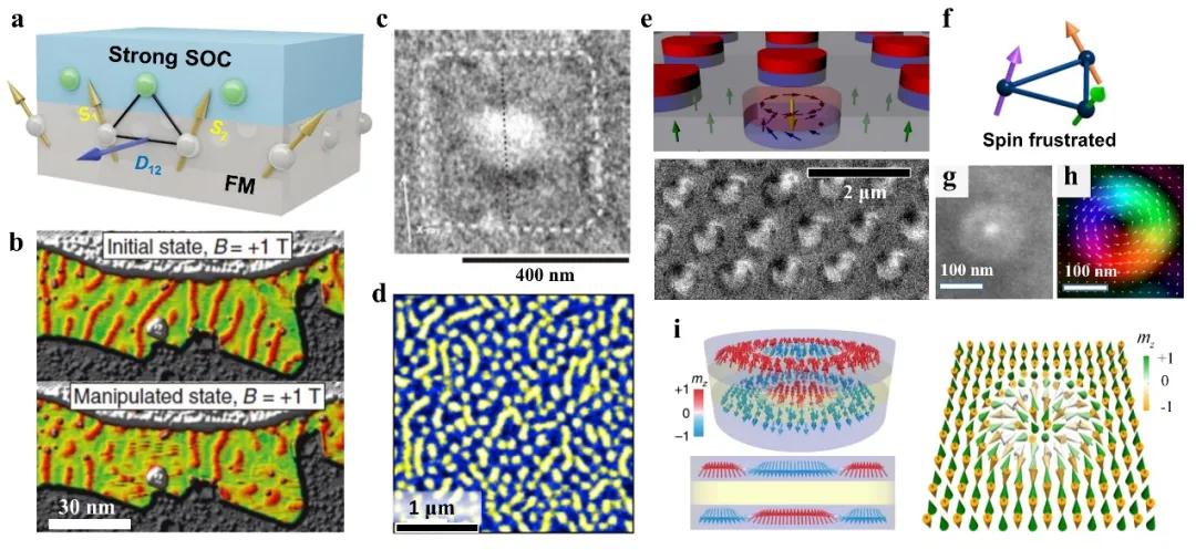Adv.Mater:铁性薄膜和异质结拓扑结构的研究进展