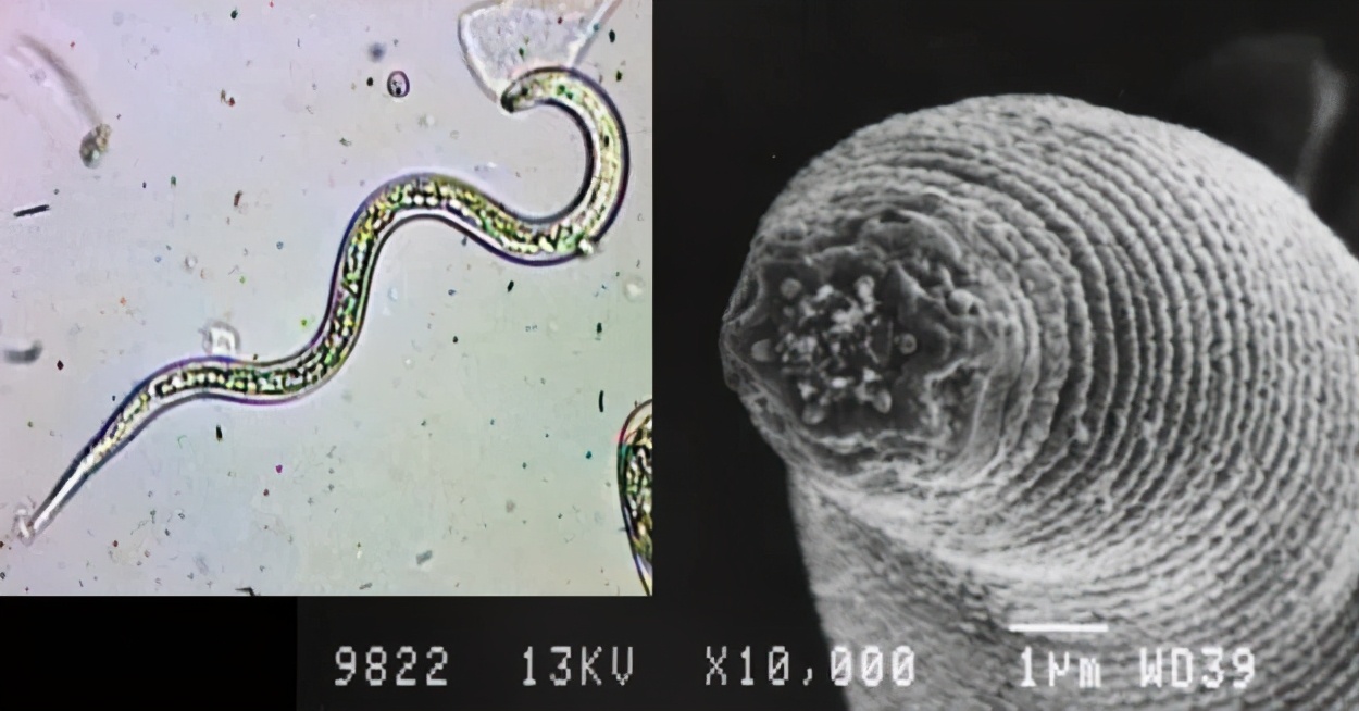 你所不了解的深海,你所不了解的地下世界