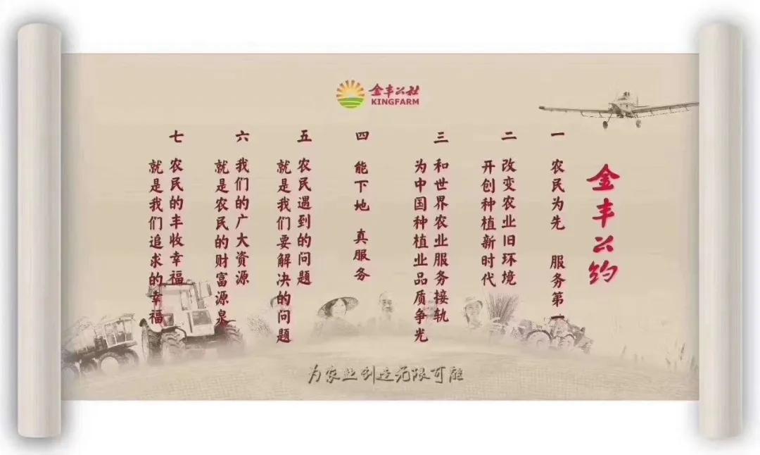 重磅｜金丰公社入选《中国优秀品牌抗疫案例》