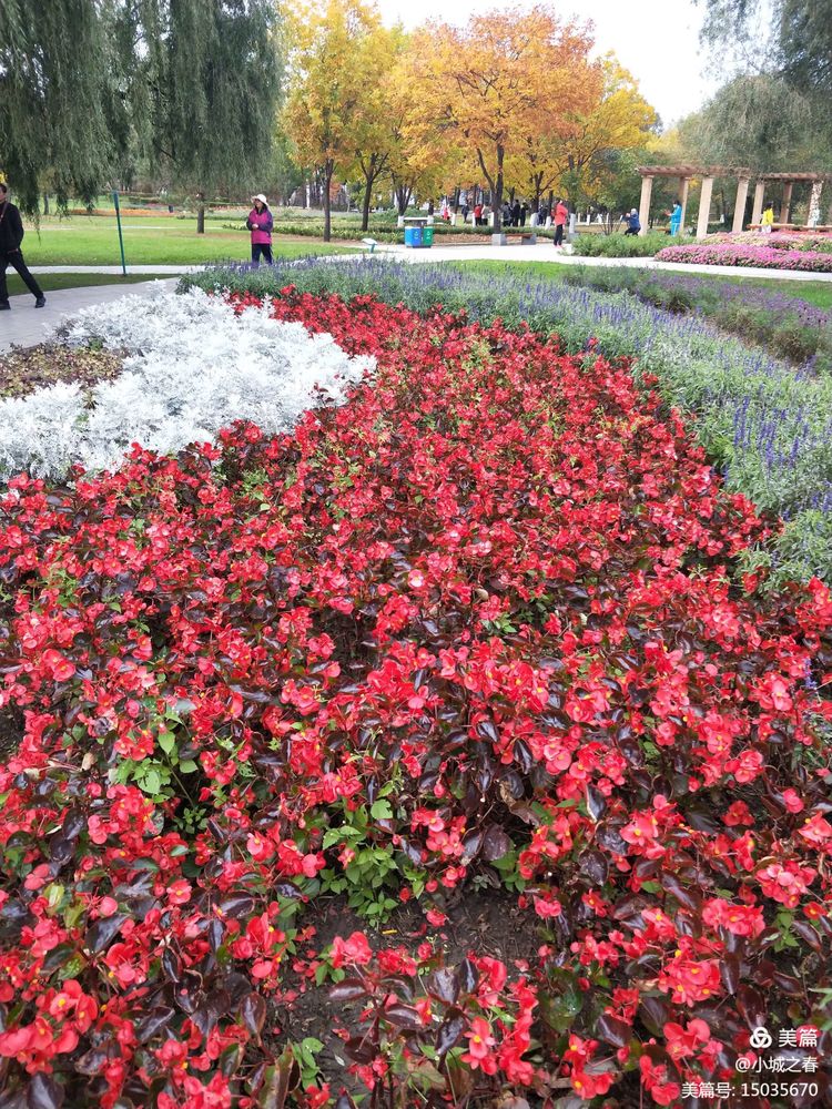 哈尔滨素描俱乐部,哈尔滨素描画室