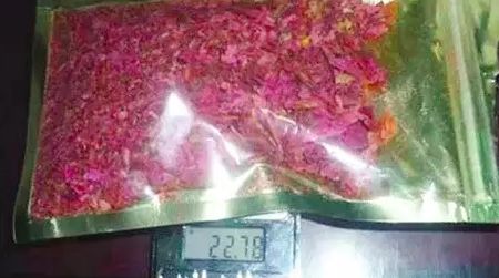 禁毒知识常识小贴士,禁毒知识自行检测答案