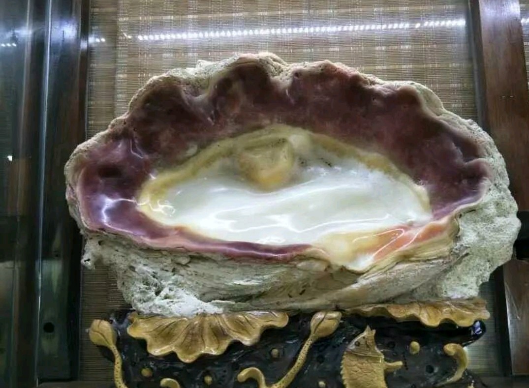 深海砗磲可以吃吗,极品深海砗磲佛珠