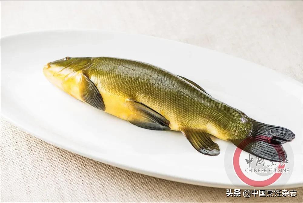 关于拒绝野味的小知识,杜绝野味还是拒绝野味