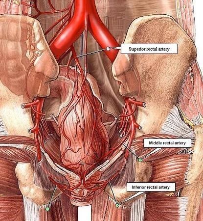 “新鲜出炉”的“无痛痔微创手术”有多牛？