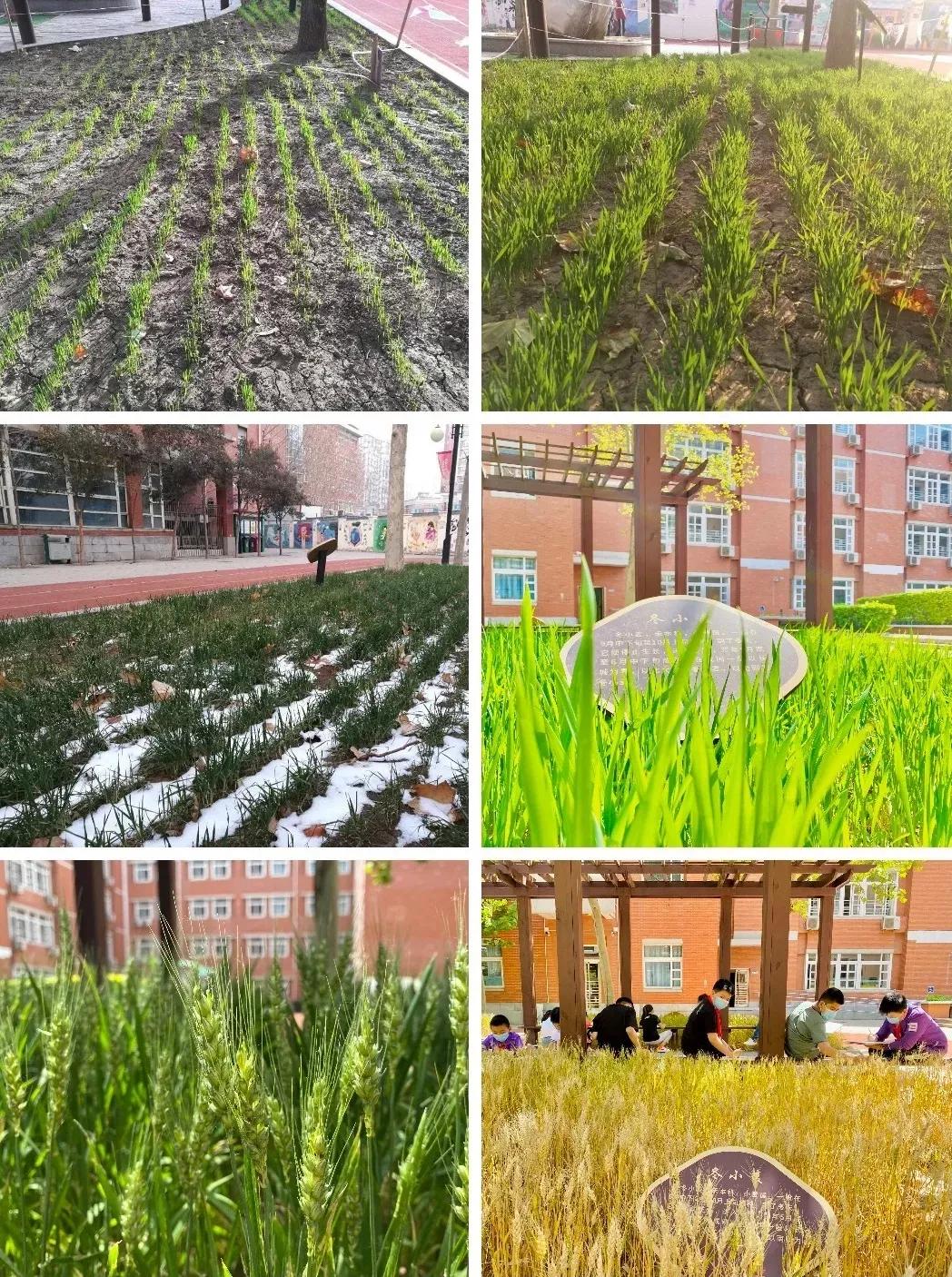 天津高级中学,天津市第二南开中学录取分数线