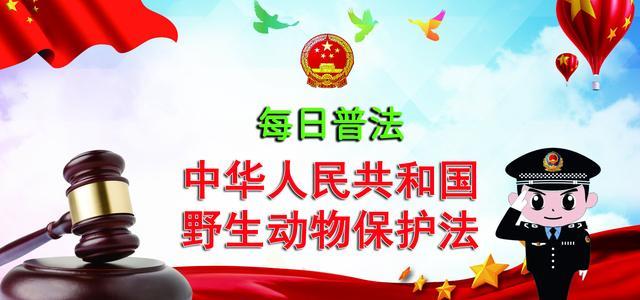 【每日普法】《中华人民共和国野生动物保护法》之出售.购买.利用国家重点保护野生动物及其制品的限制