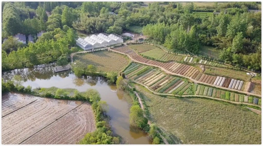 腾讯高管辞职隐居,腾讯元老隐居合肥